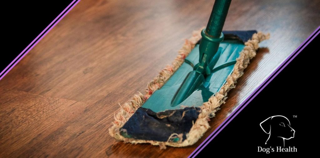 togliere odore pipì del cane dal pavimento