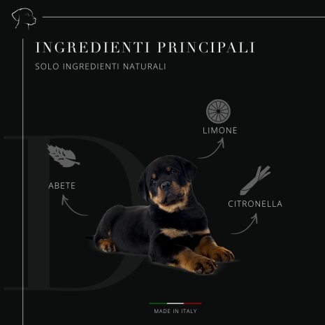 B09T7BLSR4.PT03 B09T7BLSR4.PT03